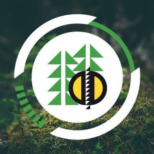 29 сентября 2020 г. откроется 22-й Петербургский международный лесопромышленный форум 